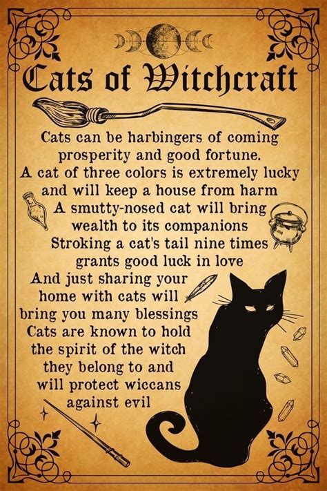The Witch Cat's Guide to Healing Magick: Harnessing the Energy of the Earth